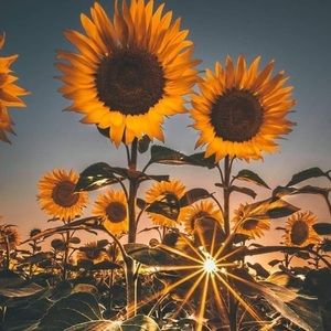 Meet your Posher, Mackenzie